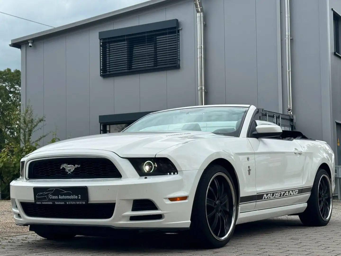 Ford Mustang V6 3,7 Sport/Xenon/Tempomat/MFL Weiß - 1