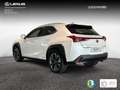 Lexus UX 250h 2.0 Premium Blanc - thumbnail 2