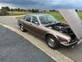 Jaguar XJ6 Series 3 Beige - thumbnail 9