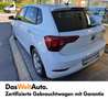Volkswagen Polo Austria Bianco - thumbnail 4