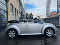 Volkswagen New Beetle New Beetle Cabrio 1.6 - thumbnail 7