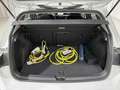 Volkswagen Golf 1.4 TSI eHYBRID 204 CV DSG Style Blanc - thumbnail 15