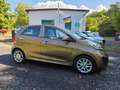 Kia Picanto FIFA World Cup Edition inkl. Lenkradheizung Braun - thumbnail 1