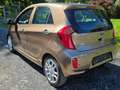 Kia Picanto FIFA World Cup Edition inkl. Lenkradheizung Braun - thumbnail 3
