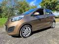 Kia Picanto FIFA World Cup Edition inkl. Lenkradheizung Braun - thumbnail 4