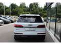 Audi SQ7 4.0TFSI qu.Tiptr.- S-Sitze*Carbon*Pano*B&O!!! Weiß - thumbnail 5