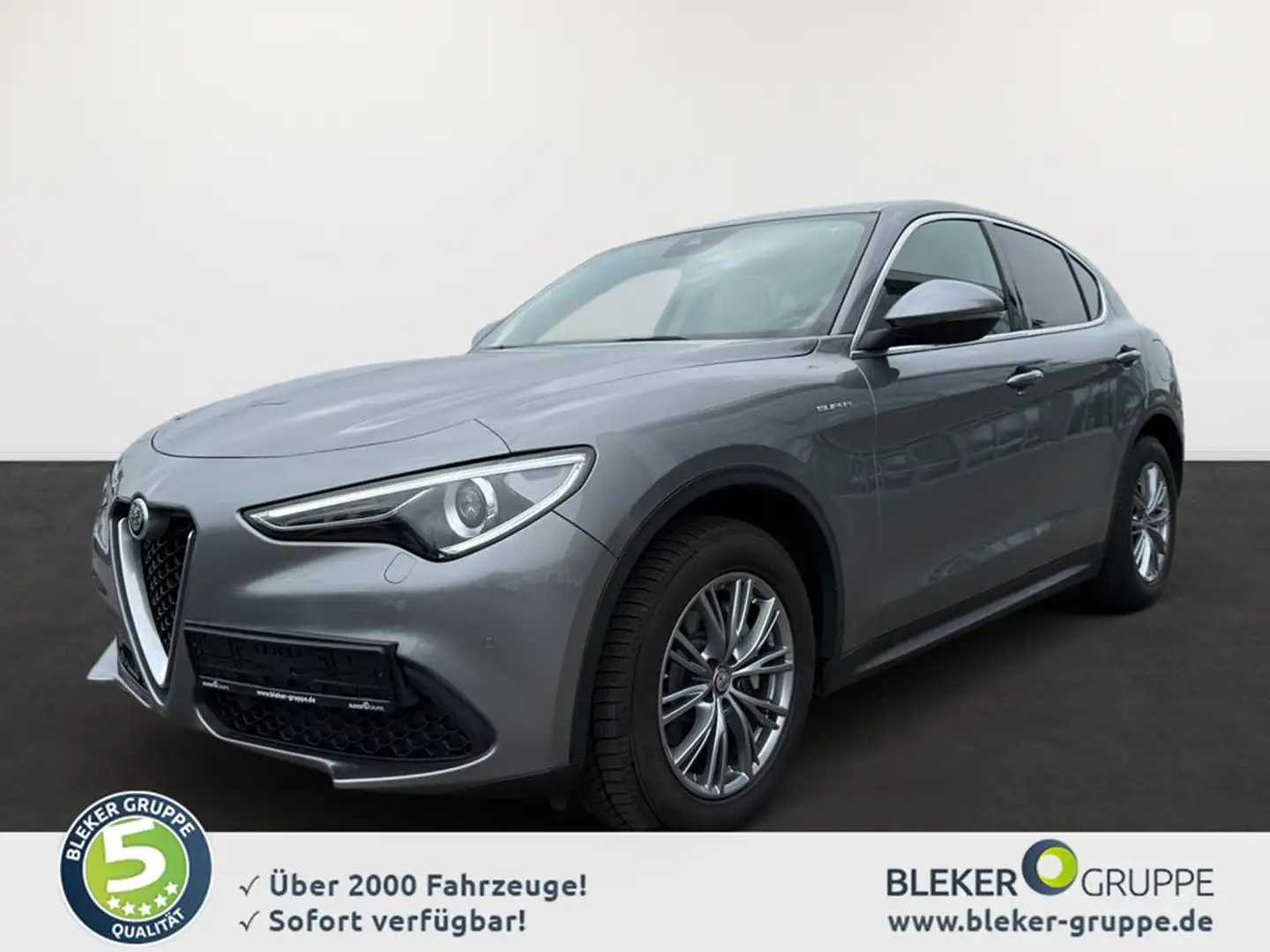 Alfa Romeo Stelvio 2.2 JTDM Super Q4 (EURO 6d) Grau - 1