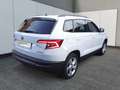 Skoda Karoq Karoq 1.6 TDI SCR DSG Executive Bianco - thumbnail 5