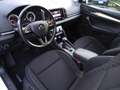 Skoda Karoq Karoq 1.6 TDI SCR DSG Executive Bianco - thumbnail 8