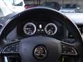 Skoda Karoq Karoq 1.6 TDI SCR DSG Executive Bianco - thumbnail 10