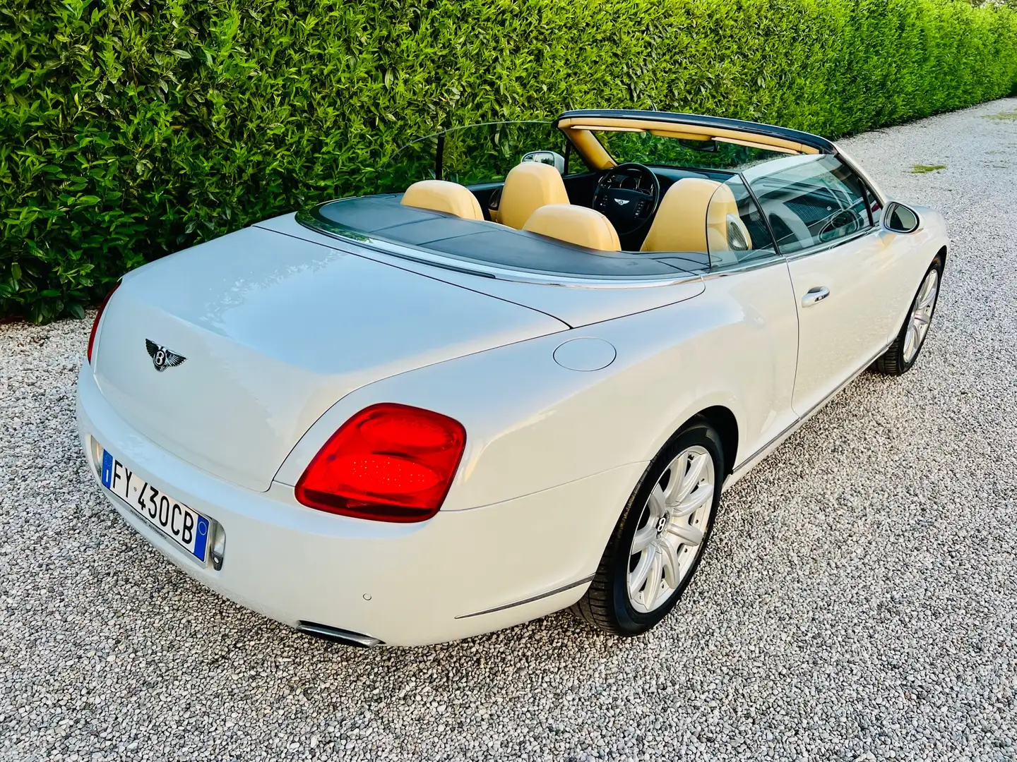 Bentley Continental GTC Weiß - 1