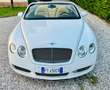 Bentley Continental GTC Weiß - thumbnail 3