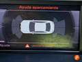 Audi A5 Sportback 2.0 TDI 190 quatt S tro S line Amarillo - thumbnail 21