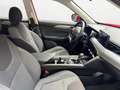 EVO EVO5 1.5 Turbo BENZ. Essential Rot - thumbnail 15