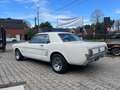 Ford Mustang with Shelby Hood "OPENHOUSE 25&26 May" Weiß - thumbnail 4