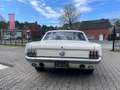 Ford Mustang with Shelby Hood "OPENHOUSE 25&26 May" Weiß - thumbnail 2
