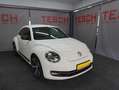 Volkswagen Beetle Sport BIXENON | KLIMA | NAVI | SITZHZG | Biały - thumbnail 4