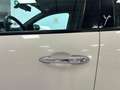 Lancia Ypsilon Ypsilon 1.2 Gold 69cv Bianco - thumbnail 11