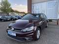 Volkswagen Golf 1.0 TSI Comfortline CarPlay LED Regensensor PDC Ga Mauve - thumbnail 19