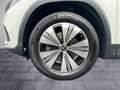 Mercedes-Benz EQA 250 Progressive LED RKam Navi Shz Blanc - thumbnail 13