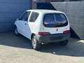 Fiat Seicento 1.1 Vintage Benzine weinig km's Blanc - thumbnail 5