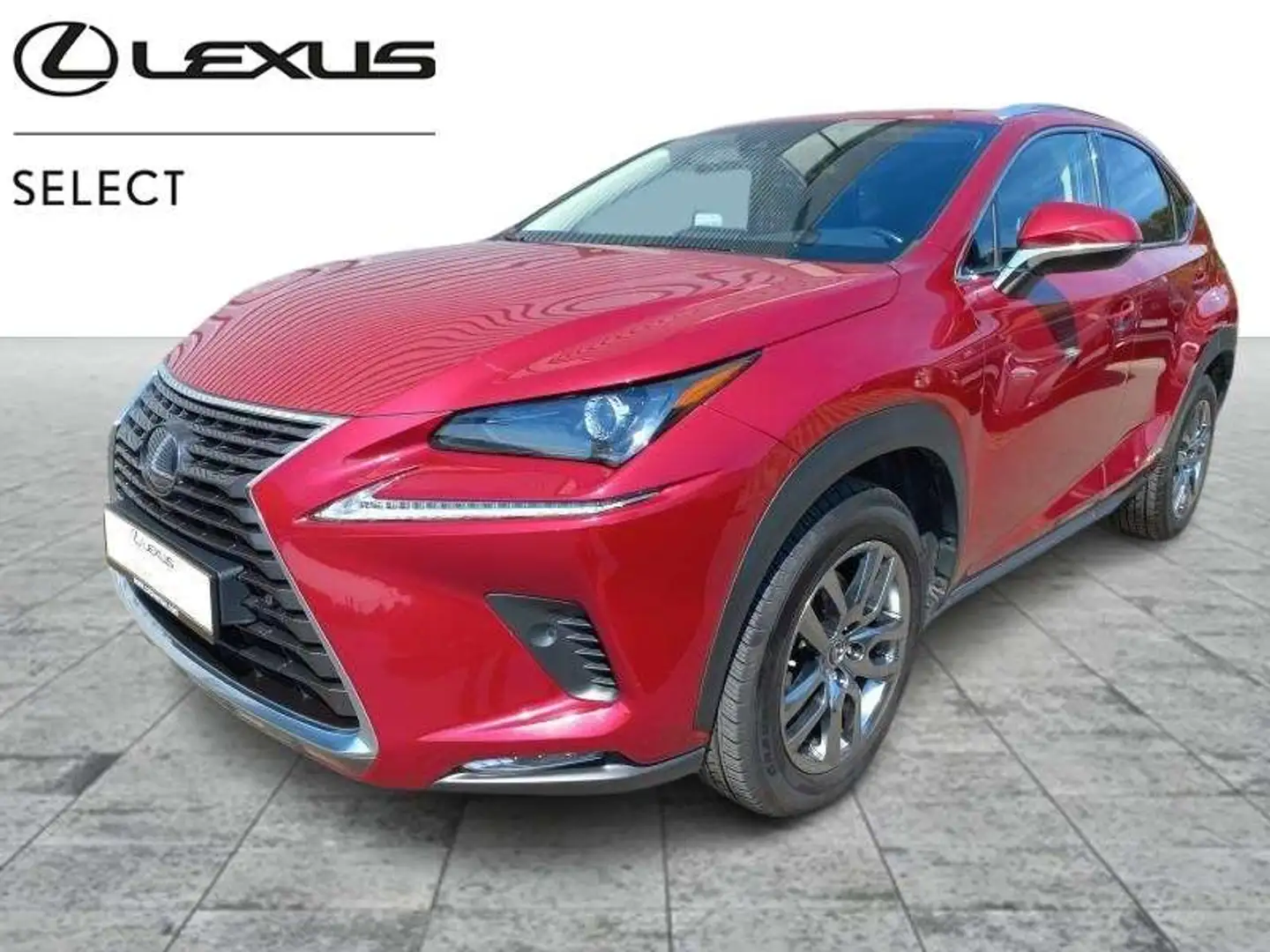 Lexus NX 300h Executive Rouge - 1