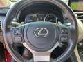 Lexus NX 300h Executive Rouge - thumbnail 10