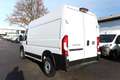 Fiat Ducato 35 L2H2 3S TEMP PDC Kam 270°HFT 7"-DAB 103 kW (... Weiß - thumbnail 4