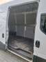 Iveco daily 35 S14H SV H2 4100 HD EVId Blanc - thumbnail 6