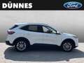 Ford Kuga 2.5 PHEV TITANIUM Weiß - thumbnail 6