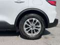 Ford Kuga 2.5 PHEV TITANIUM White - thumbnail 9