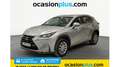 Lexus NX 300 300h Corporate 2WD + Navibox Gri - thumbnail 1