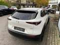 Mazda CX-30 Homura Automatik Weiß - thumbnail 5