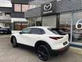 Mazda CX-30 Homura Automatik Weiß - thumbnail 3
