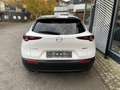 Mazda CX-30 Homura Automatik Weiß - thumbnail 4
