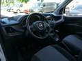 Fiat Doblo Cargo 1.6 MJ L1H1 | 105pk | Imperiaal | Cruise Con Blanc - thumbnail 5