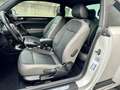 Volkswagen Maggiolino 1.4 tsi R-Line 160cv *PELLE*NAVI*FATTURE TAGLIANDI Wit - thumbnail 8