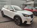 Peugeot 2008 2008 II 2020 1.5 bluehdi Allure Pack s 110 cv mt Blanc - thumbnail 4