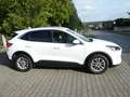 Ford Kuga Titanium-checkh/WIPA/elektr. Hängerk/1A Zust! Weiß - thumbnail 2