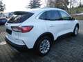 Ford Kuga Titanium-checkh/WIPA/elektr. Hängerk/1A Zust! Weiß - thumbnail 7