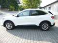 Ford Kuga Titanium-checkh/WIPA/elektr. Hängerk/1A Zust! Weiß - thumbnail 6
