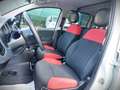 Fiat Panda Panda 1.2 Gpl 69 cv VAN N1 2 POSTI Blanc - thumbnail 8