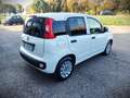 Fiat Panda Panda 1.2 Gpl 69 cv VAN N1 2 POSTI Blanc - thumbnail 5