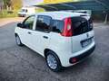 Fiat Panda Panda 1.2 Gpl 69 cv VAN N1 2 POSTI Blanc - thumbnail 7