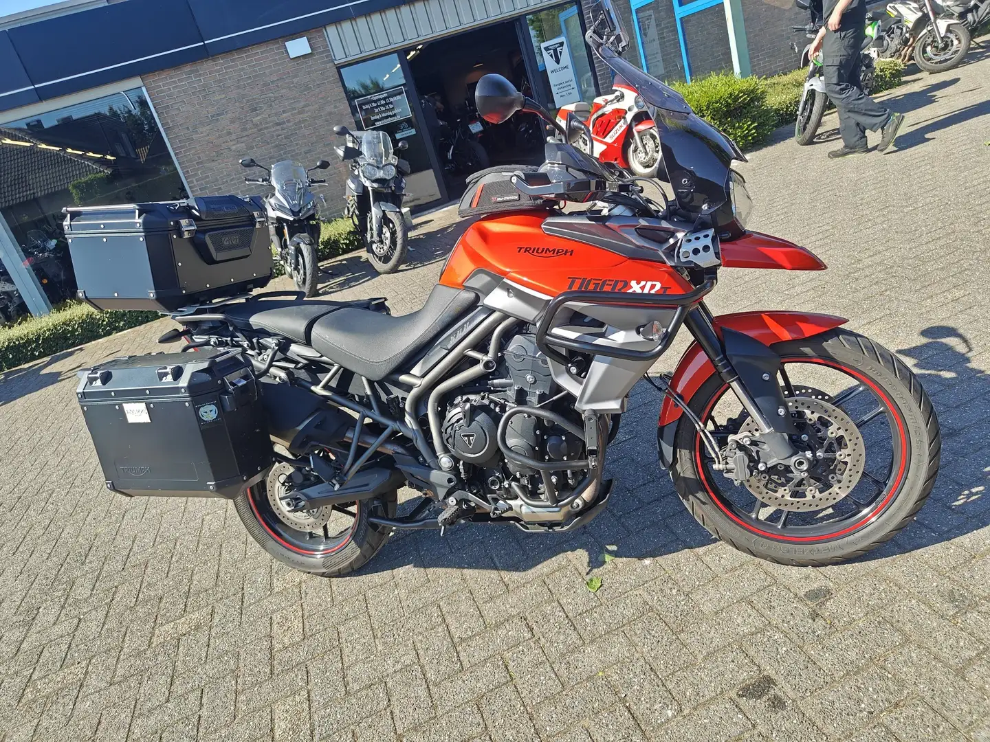 Triumph Tiger 800 XRT Portocaliu - 1