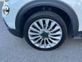 Fiat 500X 500X 1.0 120 CV Cross Bianco - thumbnail 9