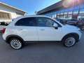 Fiat 500X 500X 1.0 120 CV Cross Bianco - thumbnail 4