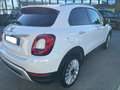 Fiat 500X 500X 1.0 120 CV Cross Bianco - thumbnail 5