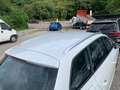 SEAT Leon Leon 1.6 TDI 115 CV DSG ST Business Bianco - thumbnail 7