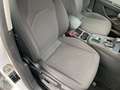 SEAT Leon Leon 1.6 TDI 115 CV DSG ST Business Bianco - thumbnail 8